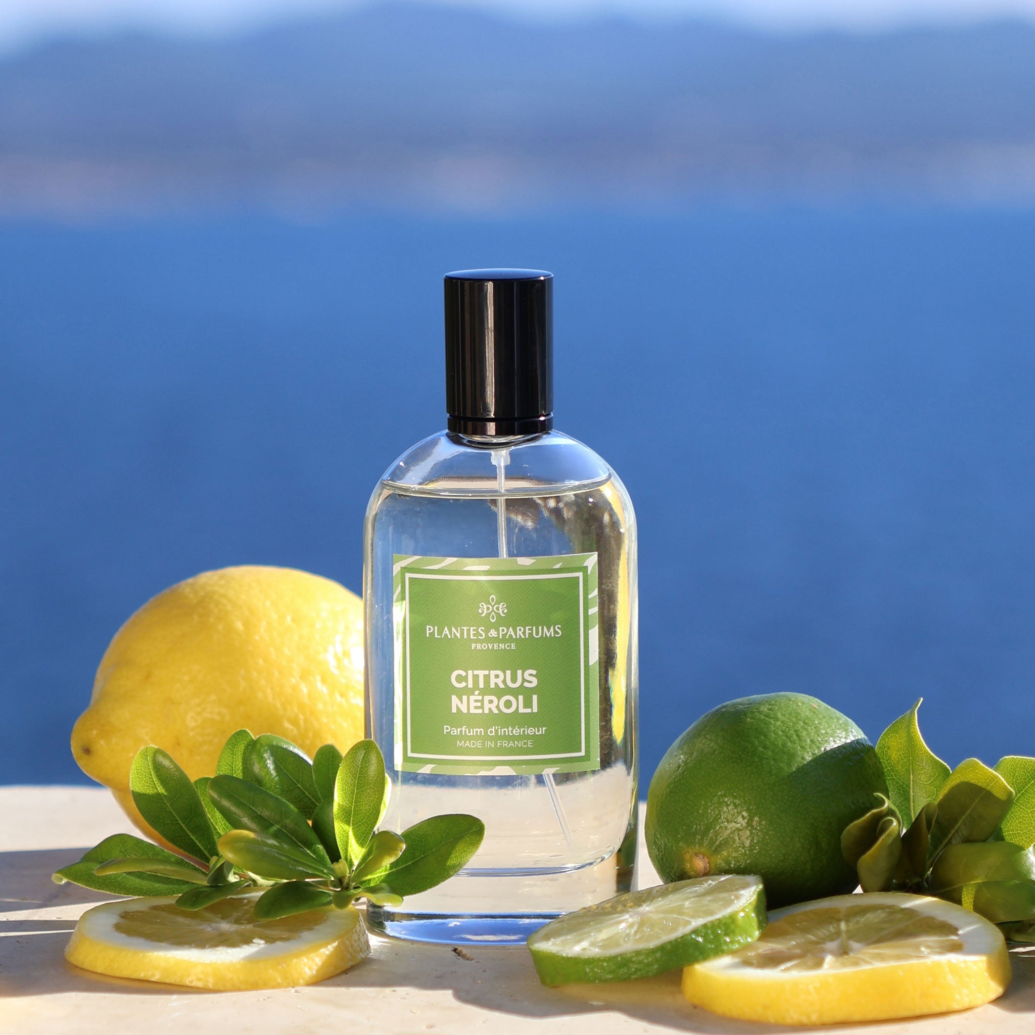 Citrus Néroli Parfum d'Intérieur 100ml