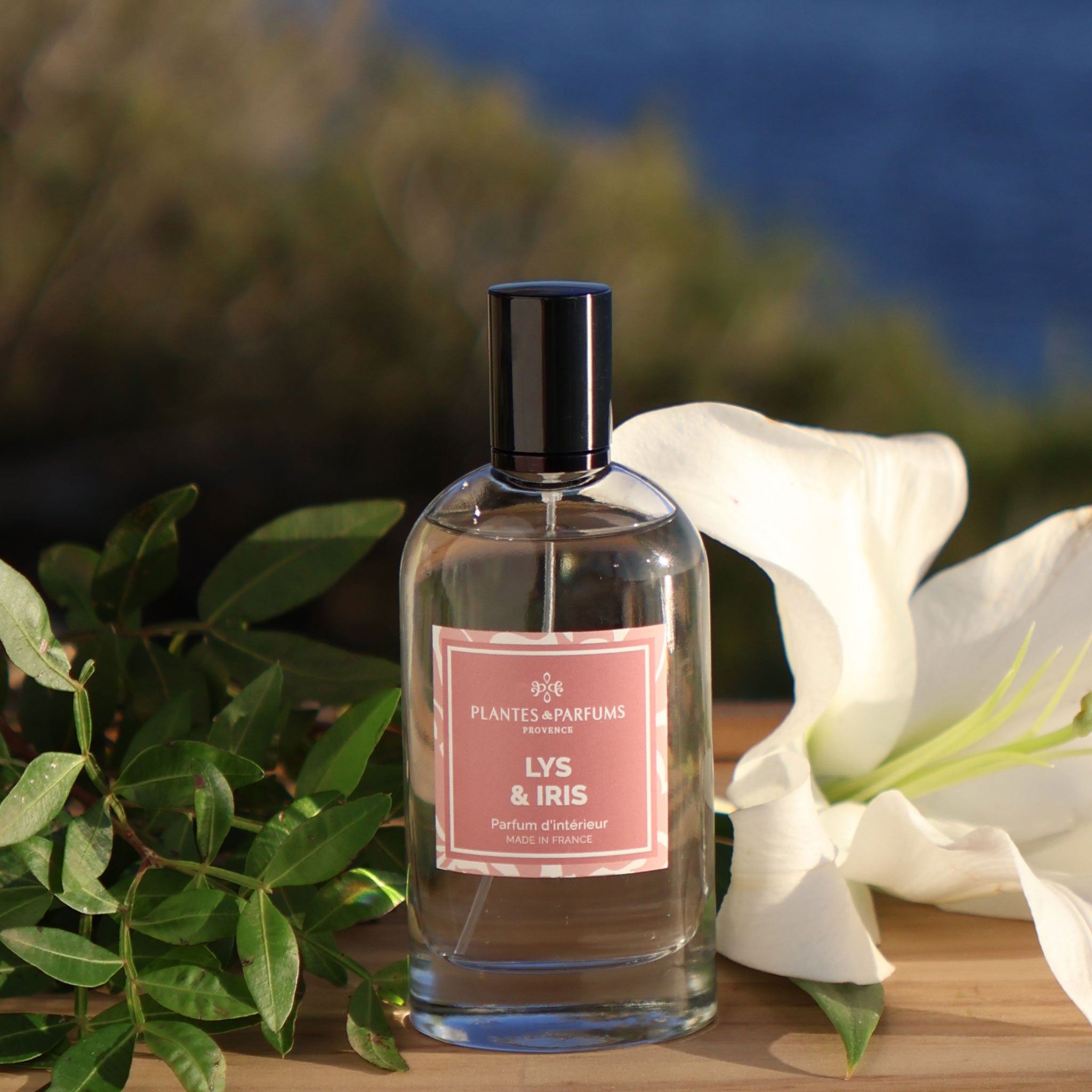 Lys & Iris Parfum d'Intérieur 100ml