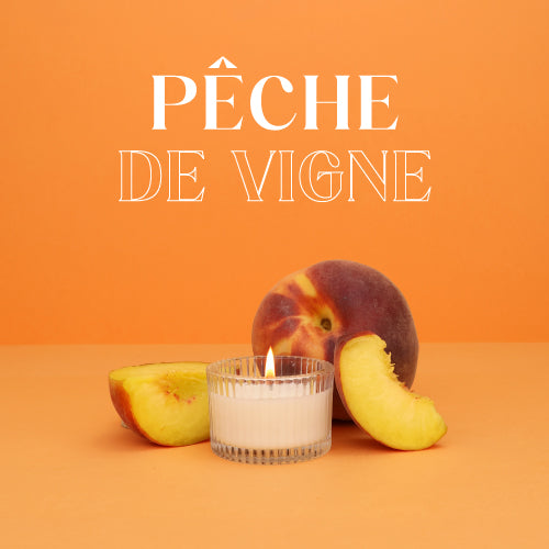 Image visible 14