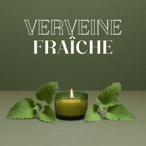 Image visible 23