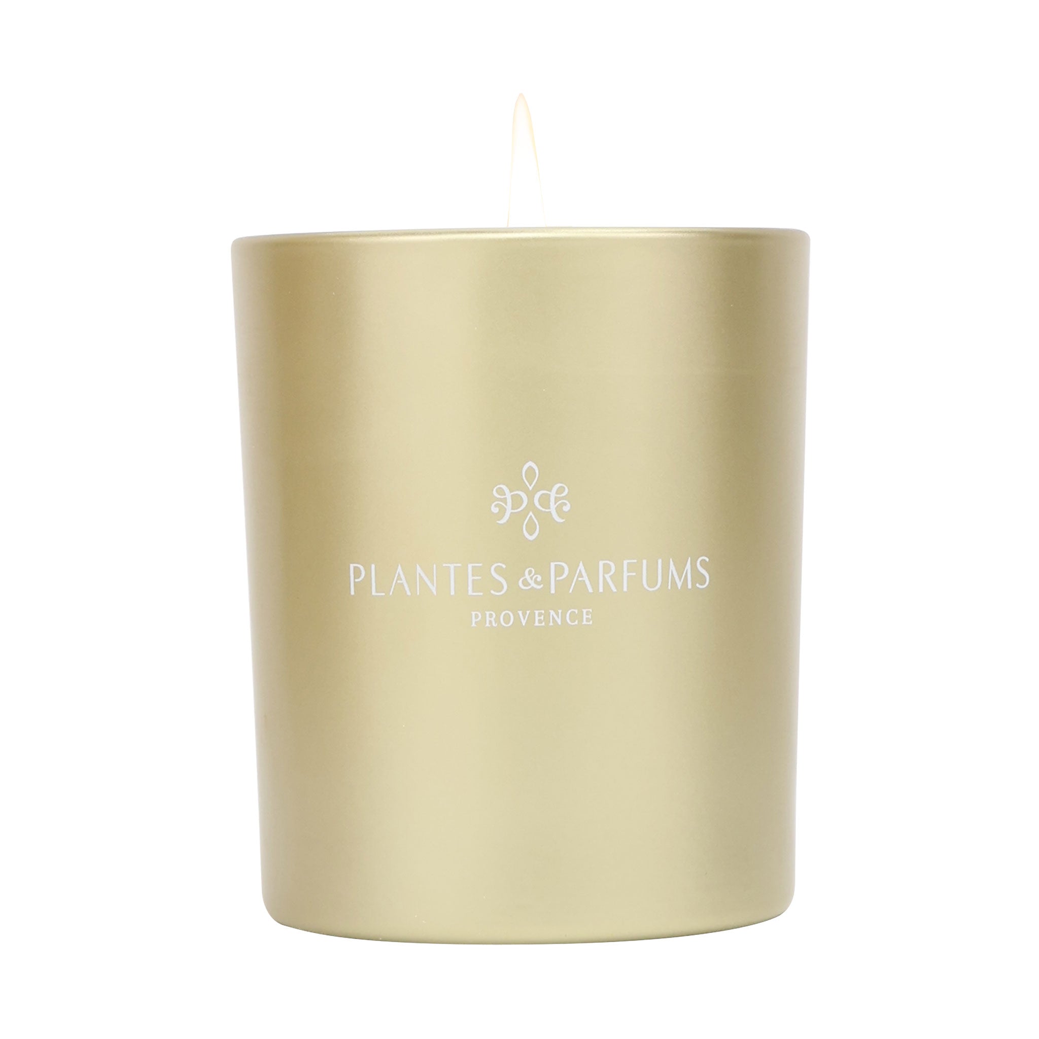 Feu de Cheminée Bougie Parfumée 180g