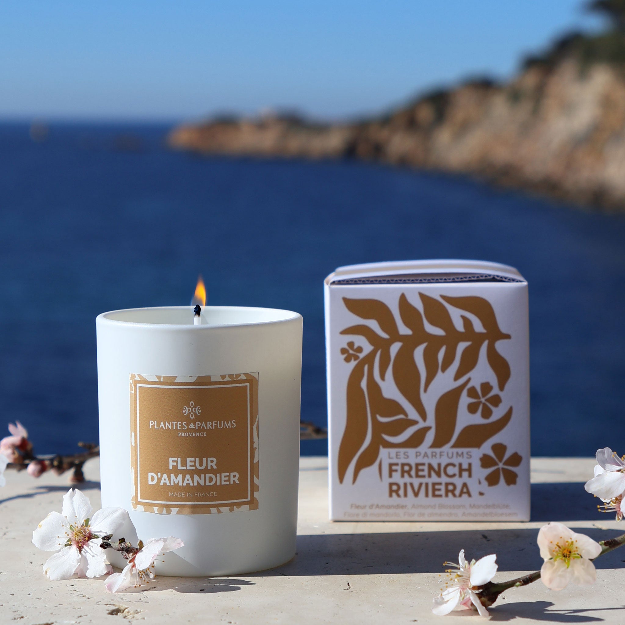 Fleur d'Amandier Bougie Parfumée 180g