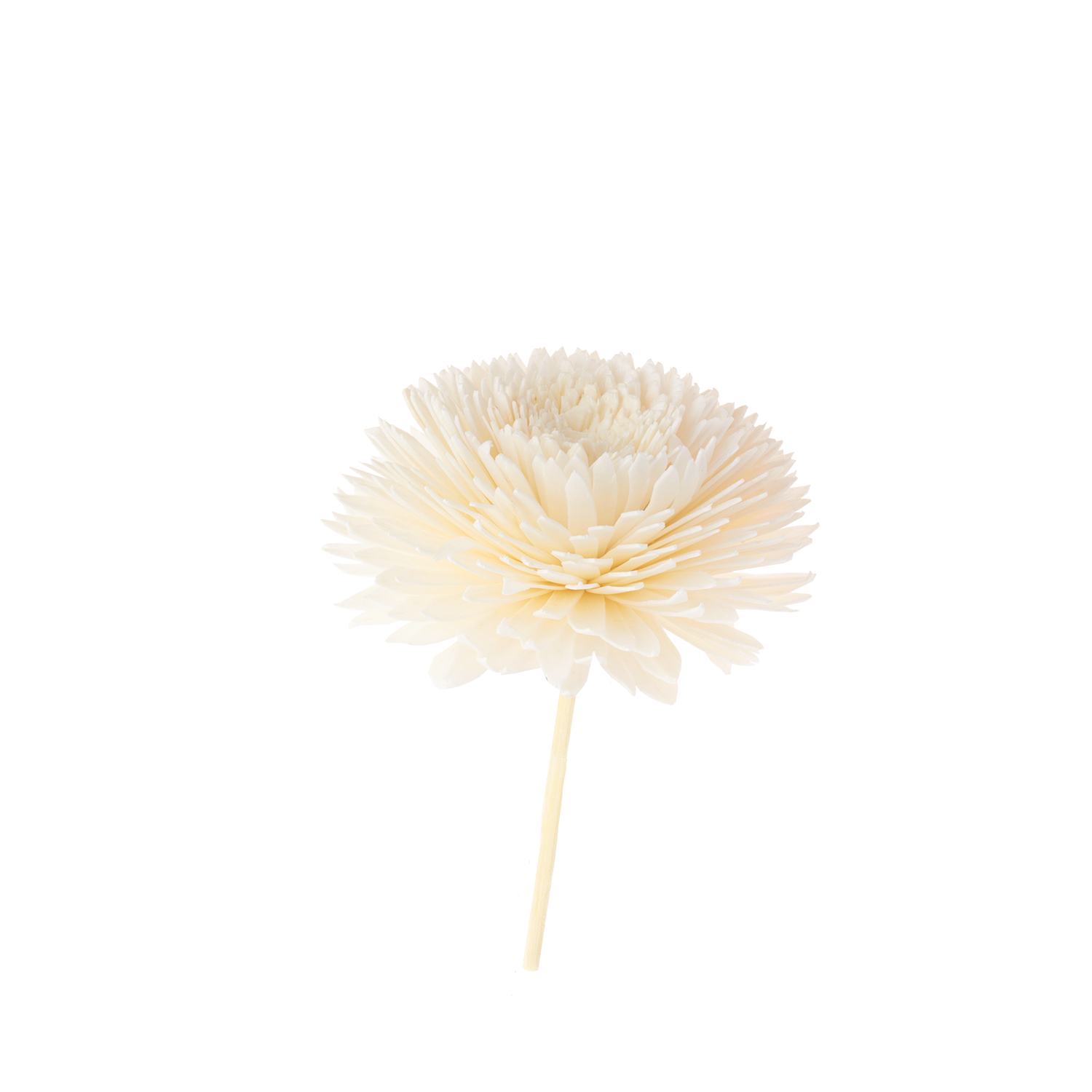 Fleur pour Diffusion Parfumée