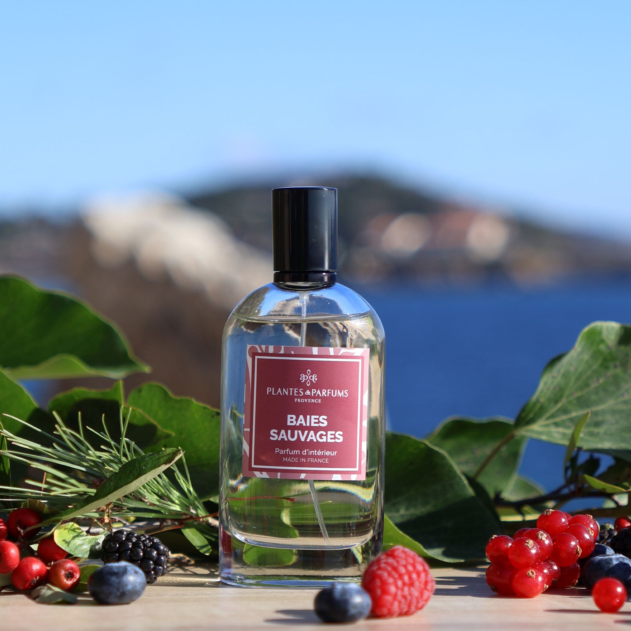 Baies Sauvages Parfum d'Intérieur 100ml