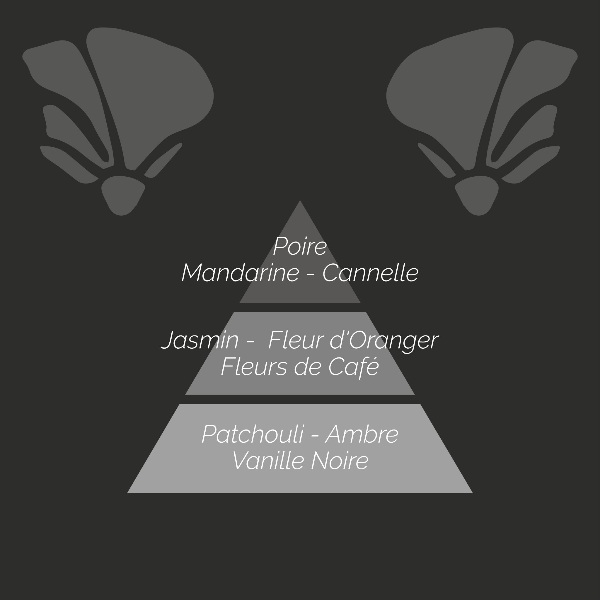 Vanille Noire Parfum d'Intérieur 100ml